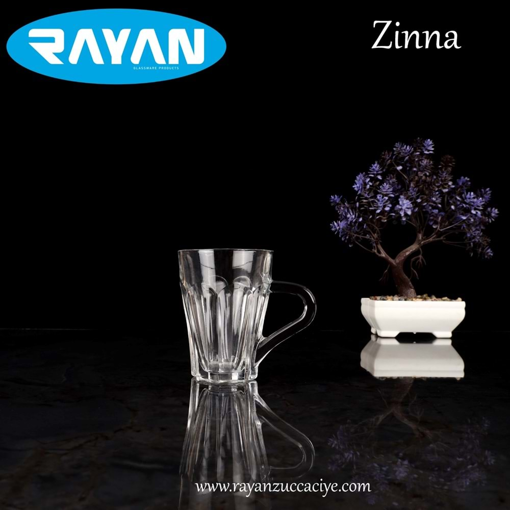 KULPLU BARDAK (ZINNA MUG) 48 ADET