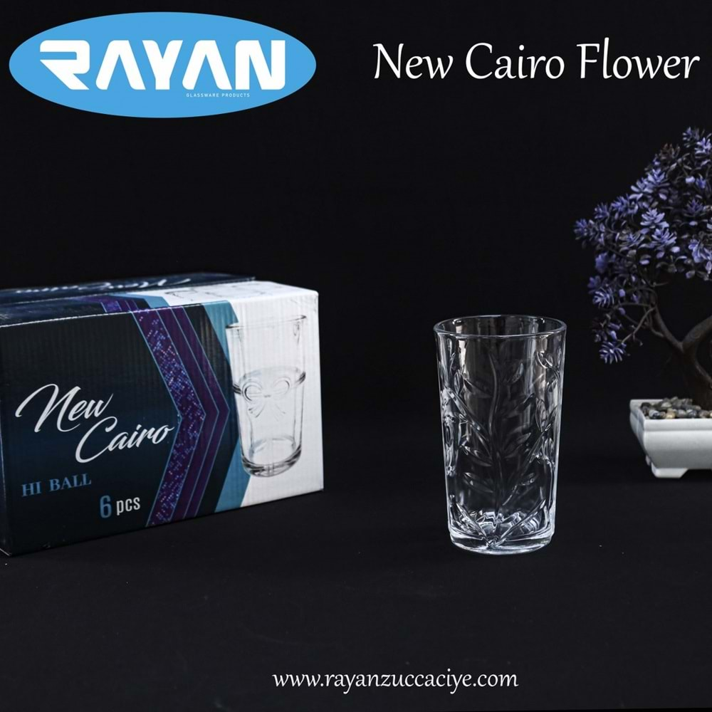 6LI CAIRO HI BALL (FLOWER)