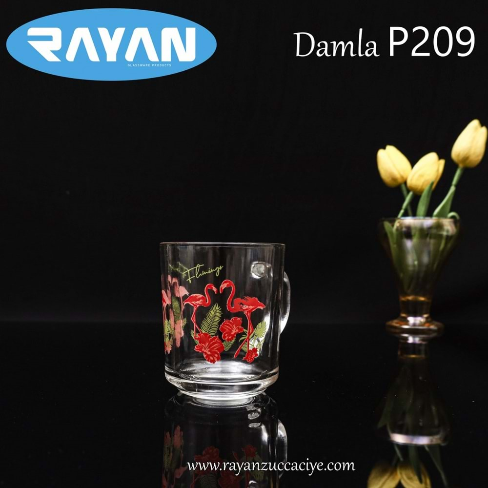 TEKLİ DAMLA MUG (P209)