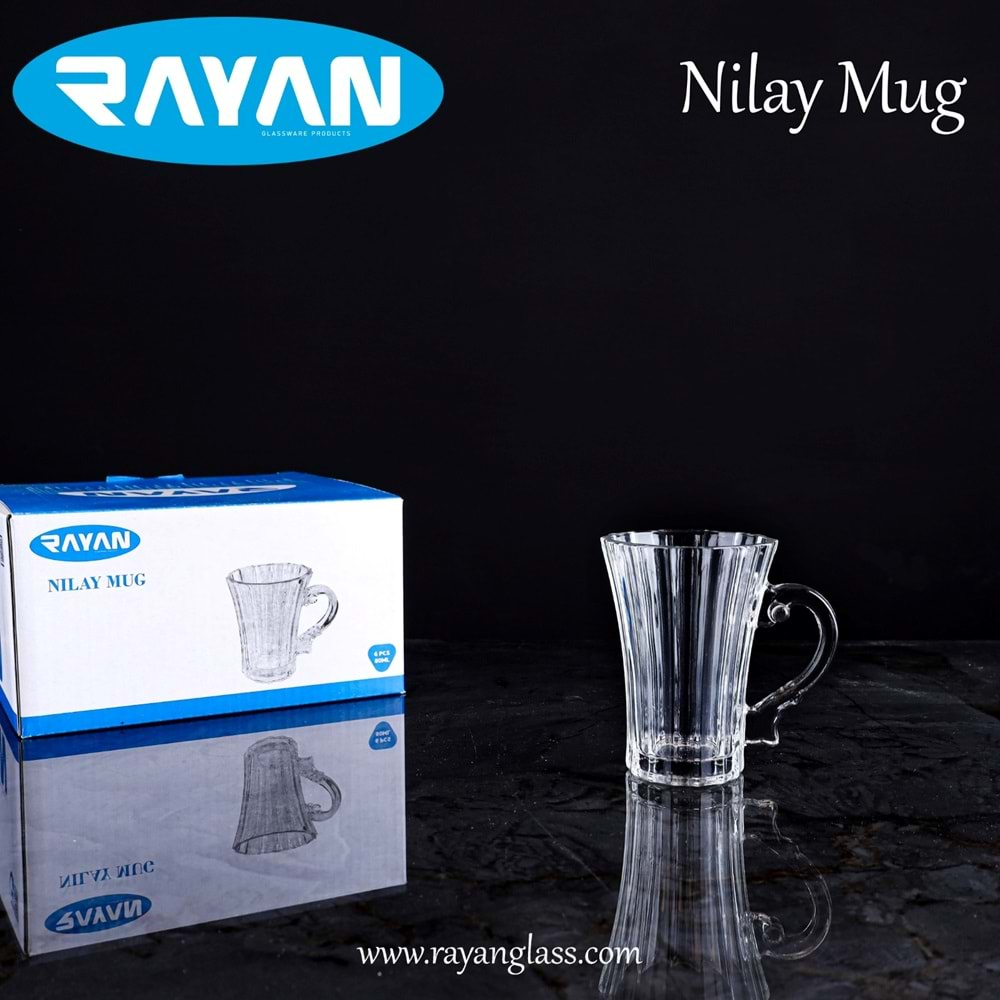 6LI NILAY MUG