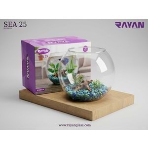 TEKLİ FANUS (SEA 25)