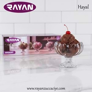 6LI HAYAL ICE CREAM
