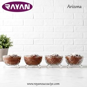 6LI ARIZONA AYAKLI KASE (DANA)