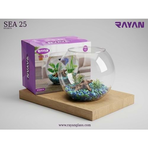 TEKLİ FANUS (SEA 25)