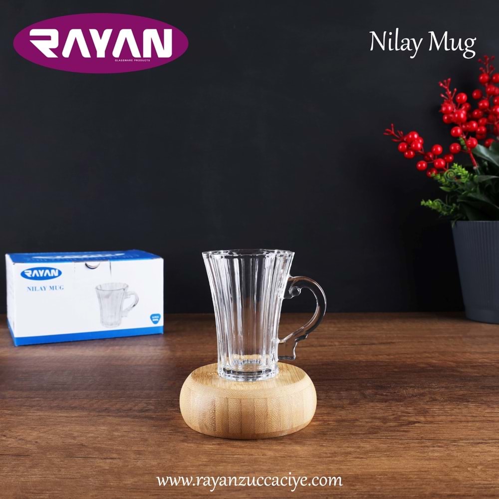 6LI NILAY MUG