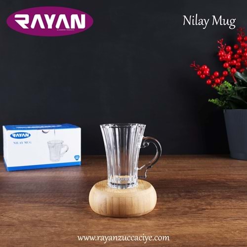 6LI NILAY MUG