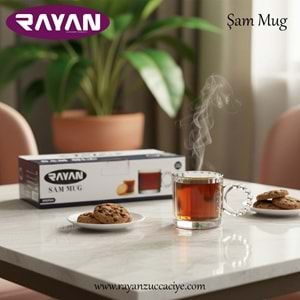 6LI ŞAM MUG