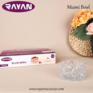6LI MIAMI BOWL